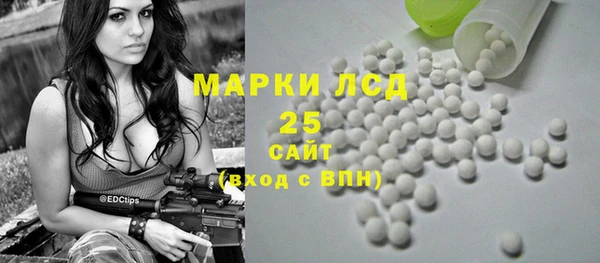 стафф Кодинск