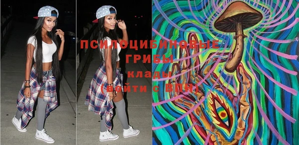 не бодяженный Козельск