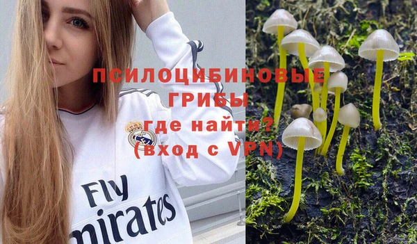 не бодяженный Козельск