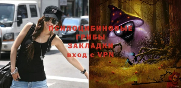 стафф Кодинск