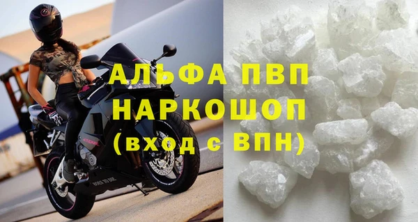 стафф Кодинск