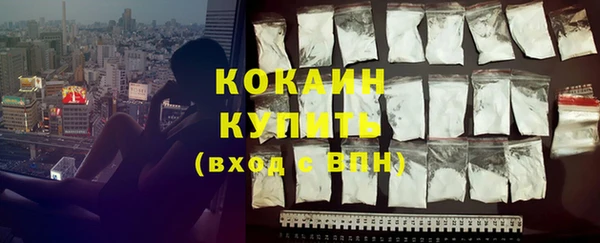стафф Кодинск