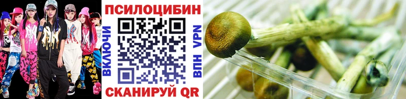 Псилоцибиновые грибы мицелий  Купить где  Вяземский 